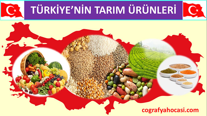 Türkiye'nin Tarım Ürünleri