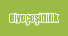 Biyoçeşitlilik Slayt