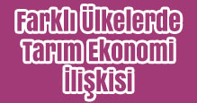 Farklı Ülkelerde Tarım Ekonomi İlişkisi Slayt