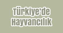 Türkiye’de Hayvancılık Slayt
