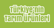 Türkiye’de Tarım ve Tarım Ürünleri Slayt
