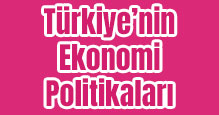 Türkiye'nin Ekonomi Politikaları Slayt