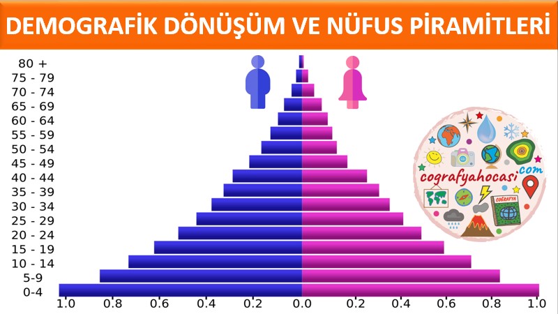 Demografik Dönüşüm ve Nüfus Piramitleri Slayt