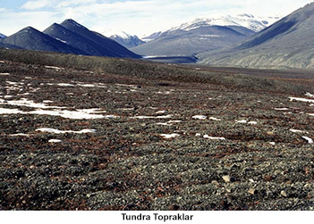 Tundra Toprakları