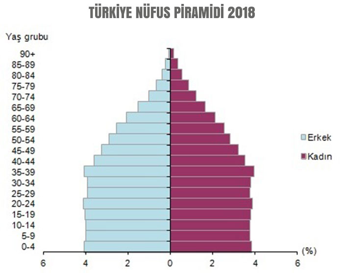 Türkiye'nin 2018 Nüfus Piramidi
