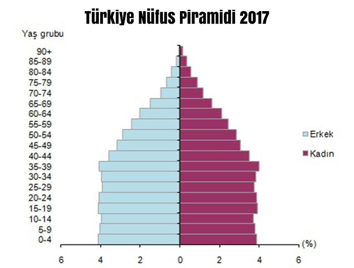 Türkiye'nin 2017 Nüfus Piramidi