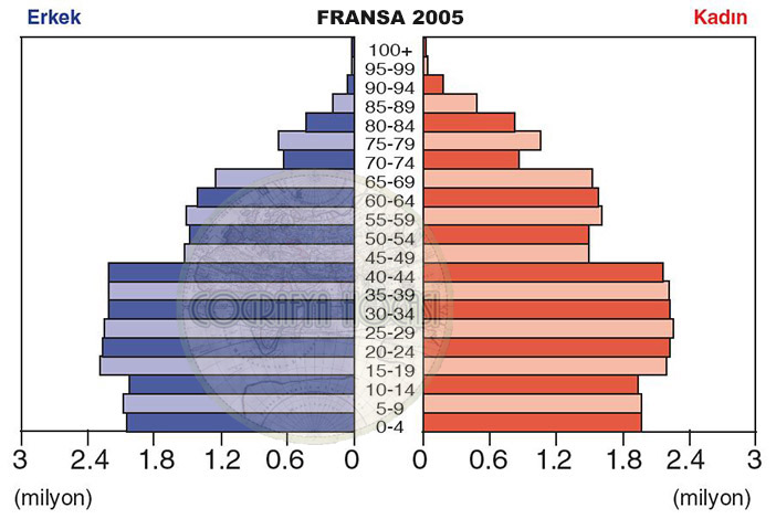 Fransa Nüfus Piramidi 2005