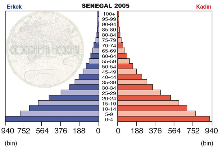 Senegal Nüfus Piramidi 2005
