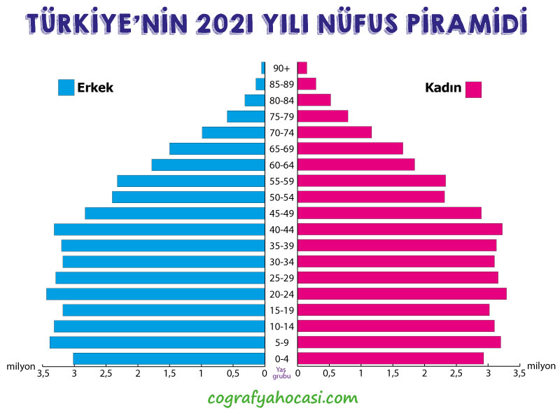 Türkiye'nin Nüfus Piramidi (2021)