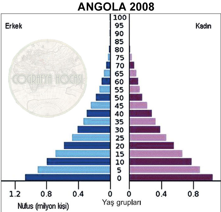 Angola Nüfus Piramidi 2008