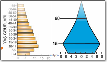 asimetrik-nüfus-piramidi