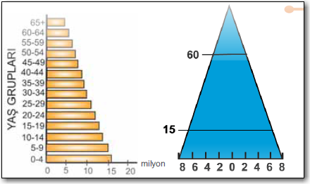 üçgen-nüfus-piramidi
